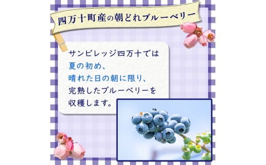 縲占ィウ縺ゅj螟ァ螳ケ驥上大屁荳蜊∫伴逕」 蜀キ蜃 繝悶Ν繝シ繝吶Μ繝シ1kgシ500gテ2陲具シ会シ修vs-11