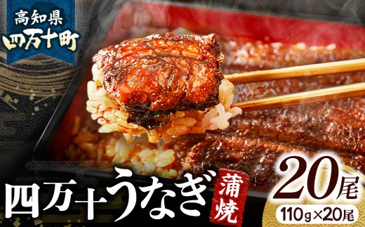 うなぎ蒲焼き20本セット Esu-118