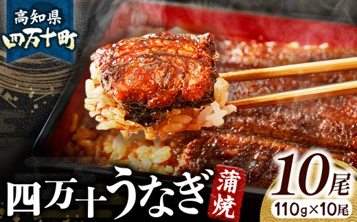 うなぎ蒲焼き10本セット Esu-117