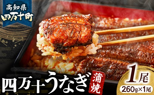 うなぎ蒲焼き【260g x 1本】 Esu-40