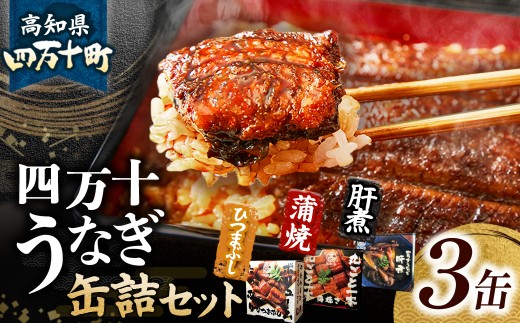 うなぎ缶詰セット【蒲焼・ひつまぶし・肝煮】 Esu-77