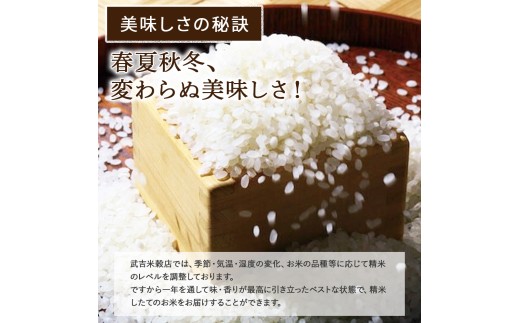【新米発送・武吉米穀店の定期便】香りに感動の仁井田米5kg／月 計3回／Sbtb-D01