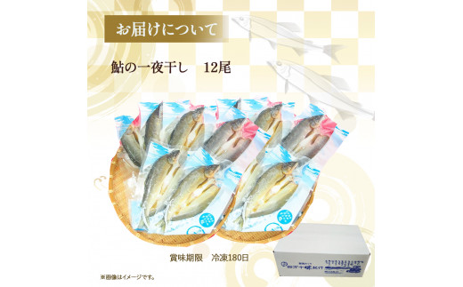 四万十鮎一夜干し12尾セット／Ess-A14