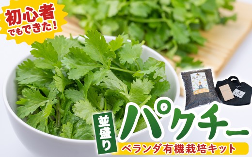 初心者も安心「並盛り」パクチー栽培キット／Fis-B05