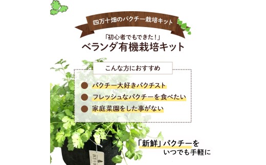 蛻晏ソ閠繧ょョ牙ソ縲御クヲ逶帙j縲阪ヱ繧ッ繝√シ譬ス蝓ケ繧ュ繝繝茨シ洲is-C05