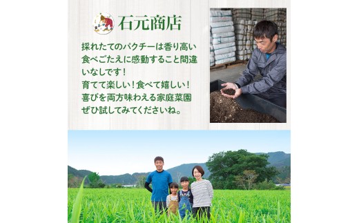 蛻晏ソ閠繧ょョ牙ソ縲御クヲ逶帙j縲阪ヱ繧ッ繝√シ譬ス蝓ケ繧ュ繝繝茨シ洲is-C05