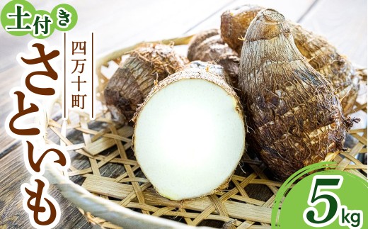 四万十町産「土付きさといも」5.0㎏／Fiz-A06