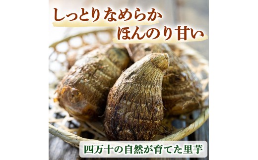 四万十町産「土付きさといも」2.5㎏／Fiz-B03