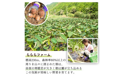 四万十町産「土付きさといも」2.5㎏／Fiz-B03