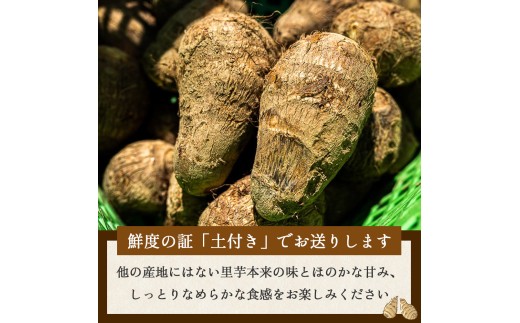 四万十町産「土付きさといも」2.5㎏／Fiz-B03