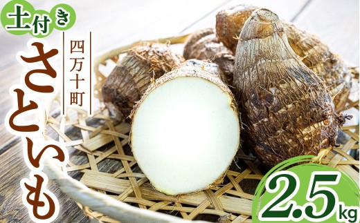 四万十町産「土付きさといも」2.5㎏／Fiz-B03