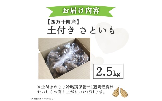 四万十町産「土付きさといも」2.5㎏／Fiz-B03
