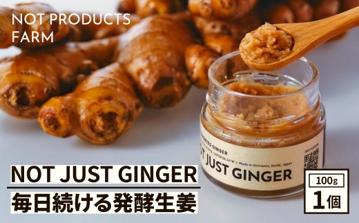 四万十生姜×特許乳酸菌 毎日続ける発酵生姜 「NOT JUST GINGER」／ Fnp-A03
