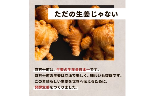 åäžåçå§Ãç¹èš±ä¹³é
žè æ¯æ¥ç¶ããçºé
µçå§ ãNOT JUST GINGERãïŒ Fnp-A03