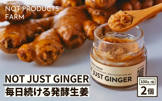 四万十生姜×特許乳酸菌 毎日続ける発酵生姜 「NOT JUST GINGER」 2個入り／ Fnp-A04