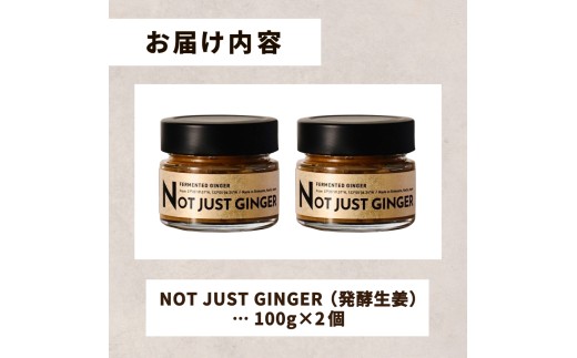 四万十生姜×特許乳酸菌 毎日続ける発酵生姜 「NOT JUST GINGER」 2個入り／ Fnp-A04