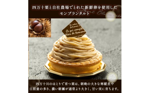 縺溘∪縺碑セイ蝣エ逶エ蝟カ繧ケ繧、繝シ繝!蝗帑ク蜊∵励ョ繝「繝ウ繝悶Λ繝ウ縲5蛟句・繧 シ秀bn-A51