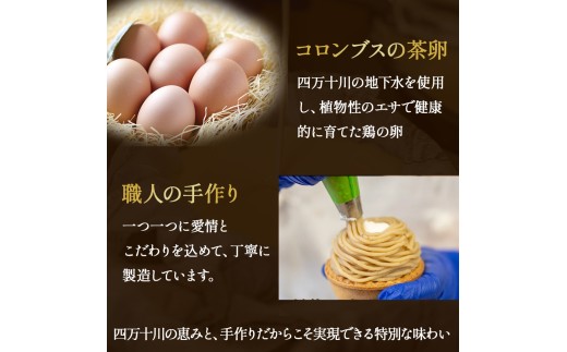 縺溘∪縺碑セイ蝣エ逶エ蝟カ繧ケ繧、繝シ繝!蝗帑ク蜊∵励ョ繝「繝ウ繝悶Λ繝ウ縲5蛟句・繧 シ秀bn-A51