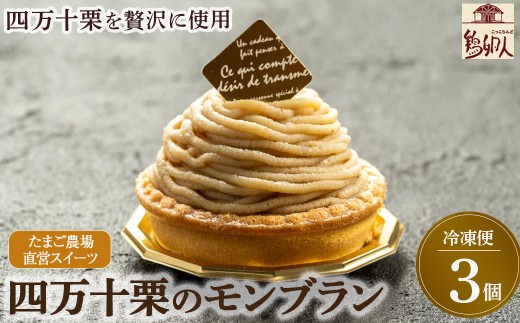 たまご農場直営スイーツ!四万十栗のモンブラン　3個入り ／Gbn-A52