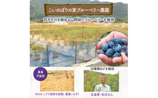 【2026年産／栽培期間中 農薬不使用ブルーベリー使用】手づくりブルーベリージャム（170g×5個）／Qdr-A92
