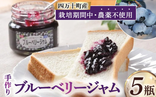 【2026年産／栽培期間中 農薬不使用ブルーベリー使用】手づくりブルーベリージャム（170g×5個）／Qdr-A92