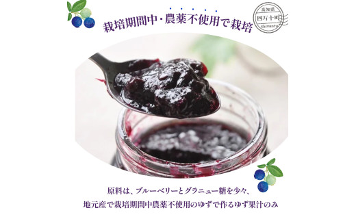 【2026年産／栽培期間中 農薬不使用ブルーベリー使用】手づくりブルーベリージャム（170g×5個）／Qdr-A92