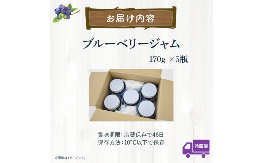 【2026年産／栽培期間中 農薬不使用ブルーベリー使用】手づくりブルーベリージャム（170g×5個）／Qdr-A92