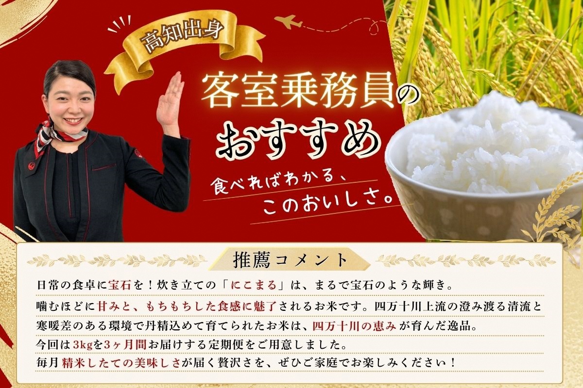 【JALふるさと納税限定】高知県出身の客室乗務員おすすめ　◎令和8年度米◎四万十育ちの美味しい「仁井田米」にこまる 3kg×3回の定期便。高知のにこまるは四万十の仁井田米／Sbmu-JAL-G09