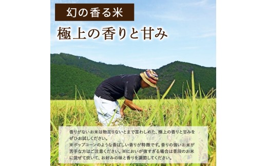 令和8年度産米 香ばしい香りに感動!幻の香る米5kg /Btb-D13