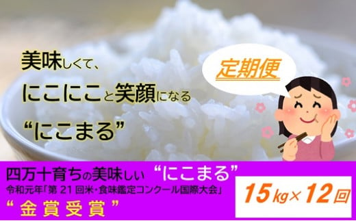 【2024年10月から発送開始】◎令和6年産新米◎四万十の美味しいお米”にこまる”。高知のにこまるは四万十の仁井田米【15kg×12回の定期便】／Rbmu-A10