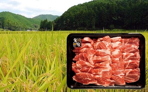 「しまんと米豚焼き肉セット」　／Qjs-02