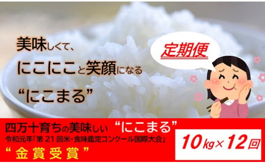 【2024年10月から発送開始】◎令和6年産新米◎四万十の美味しいお米”にこまる”。高知のにこまるは四万十の仁井田米【10kg×12回の定期便】／Rbmu-A09