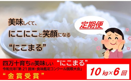 【2024年10月から発送開始】◎令和6年産新米◎四万十の美味しいお米”にこまる”。高知のにこまるは四万十の仁井田米【10㎏×6回の定期便】／Sbmu-A13