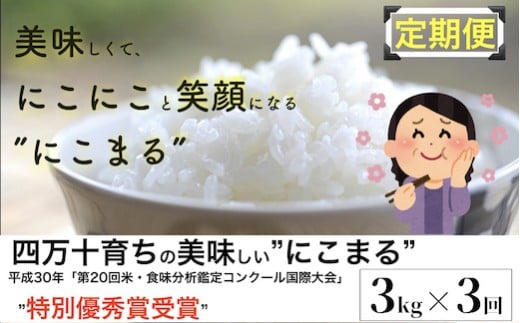 【2024年10月から発送開始】◎令和6年産新米◎四万十育ちの美味しい「仁井田米」にこまる 3kg×3回の定期便。高知のにこまるは四万十の仁井田米／Sbmu-B09