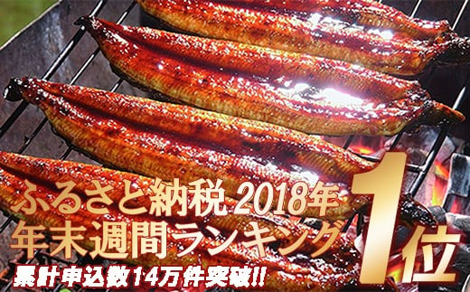 〈鰻大好き定期便〉うなぎ蒲焼き≪大≫（160g x 6本）6カ月セット ／Sesu-06