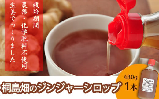 栽培期間農薬・化学肥料不使用の生姜で作った「桐島畑のジンジャーシロップ」480g×1本　Fkh-A08