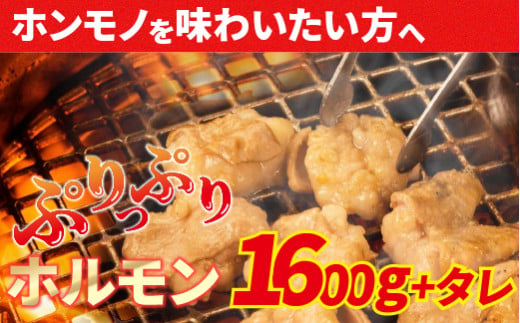 大人気焼肉屋さんのご家庭で簡単！モツ焼き肉セット1600g　ホルモン もつ 国産 焼肉 国産ホルモン 牛ホルモン もつ鍋／Amu-04