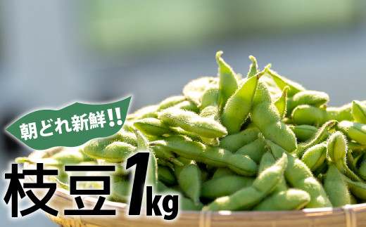 新鮮お届け！夏の味覚「枝豆」おてごろ1キロ ／ Fiz-A07
