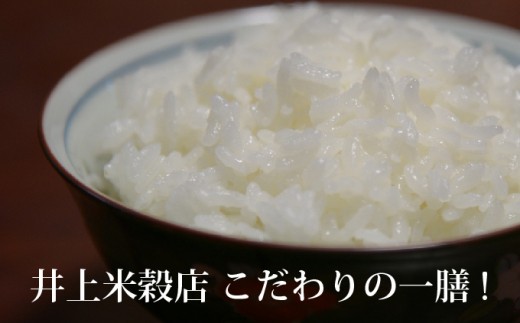 ◎令和6年産◎絶妙なバランスが大好評！井上米穀店のオススメ２点10kgセット（5kg×２セット）／Bib-A02 