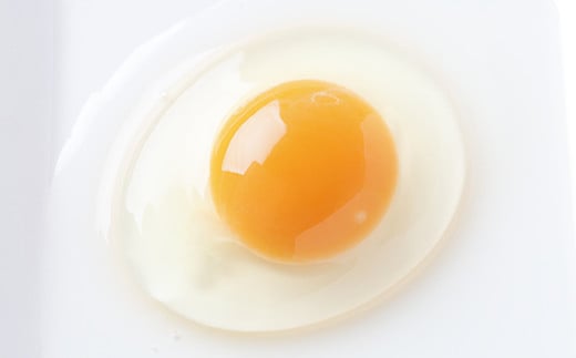 ベジタリアンなニワトリの極上卵と、四万十町産仁井田米の卵かけご飯セット(卵6個×3P、お米2合×9P)【お届け日指定可能】Gbn-16 