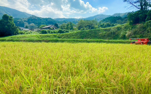 【2024年産・新米】完全無農薬の玄米『森ノヒカリ(3kg)』『川ノヒカリ(3kg)』セット　／Bnm-21