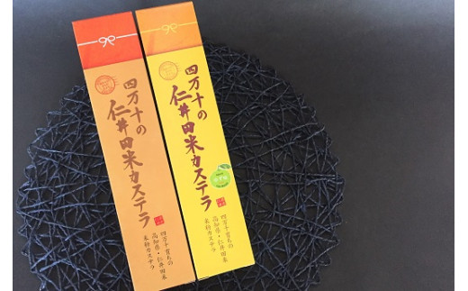 四万十の米粉カステラ【龍馬の太鼓判】プレーン＆ゆず半斤2本セット Bmu-B39