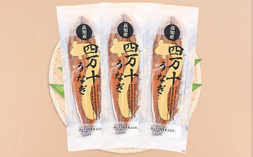 〈鰻大好き定期便〉うなぎ蒲焼き≪大≫（160g x 3本）12カ月セット ／Resu-06