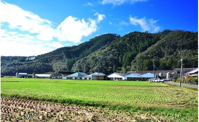 農林水産大臣賞受賞の「四万十ポーク」平野協同畜産の「麦豚」焼き肉（豚ロース肉1.1kg）Ahc-01