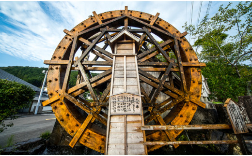 倧ããªã¥ãŒã 1.8kgãæ°Žè»äº ãã³èåã»ãã(çç±³ãã³Ã2è¢ãã ã®ã ã®Ã2è¢)ããèå ããã ãœããã ãã³ã¬ã· 倧容é 倧é ã»ãã ãã€ãŸã¿ ãŸãšãè²·ã ã¹ãã㯠ååœè£œèïŒIng-B04