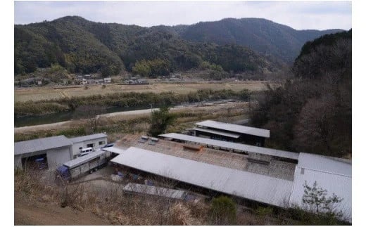 åäžå麊é
ç çŒèçšïŒ450gïŒååãã»ããã¢ã¢ ãŠã ãã©è è©ããŒã¹ è©°ãåãã ééã 赀身 麊é
ç ããŒã«ç å·åïŒAsz-04