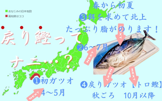 藁焼きかつおタタキ 1節セット (300g) わら焼き 3人前 高知 鰹 カツオ タタキ カツオのたたき 鰹のたたき かつおのたたき 藁焼き 高知 冷凍 個包装／Ess-16 