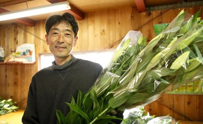 æ¥é ã®æè¬ããè±æãã§ããªãªãšã³ã¿ã«ãªãªãŒãç§å7æ¬ãïŒOsy-03