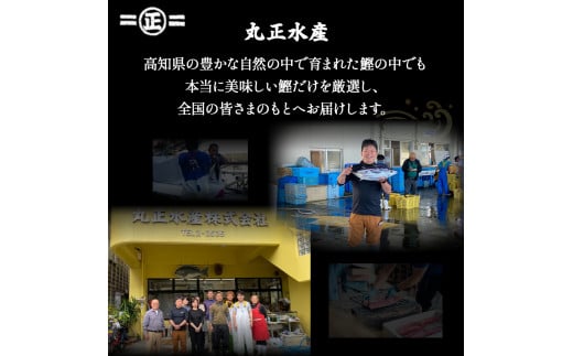 鮮度抜群！魚市場直送の藁焼きカツオのタタキ3-4人前／Ems-A01