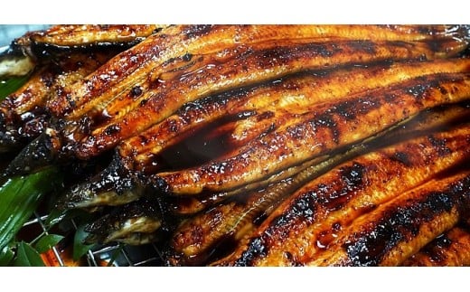 炭火の蒲焼ウナギ2尾＆幻の栗焼酎ダバダ火振り　Esg-22